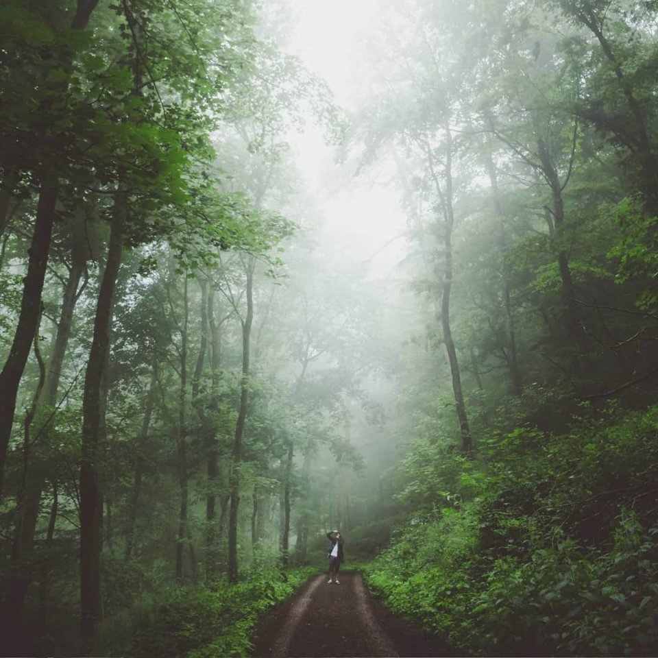 Рай интроверта в Саарланде, Германия - 8