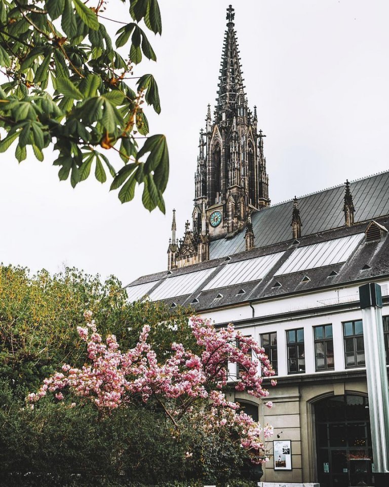 Цветущий Стратсбург, Франция - 5