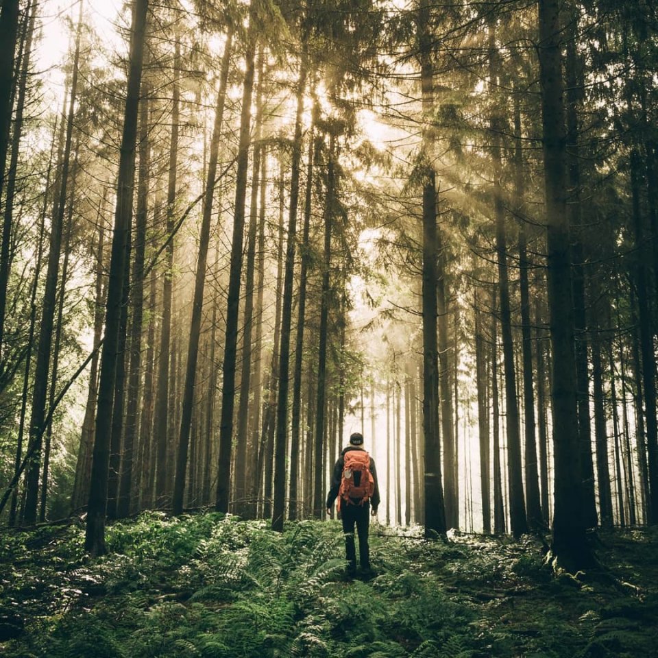 Рай интроверта в Саарланде, Германия - 7