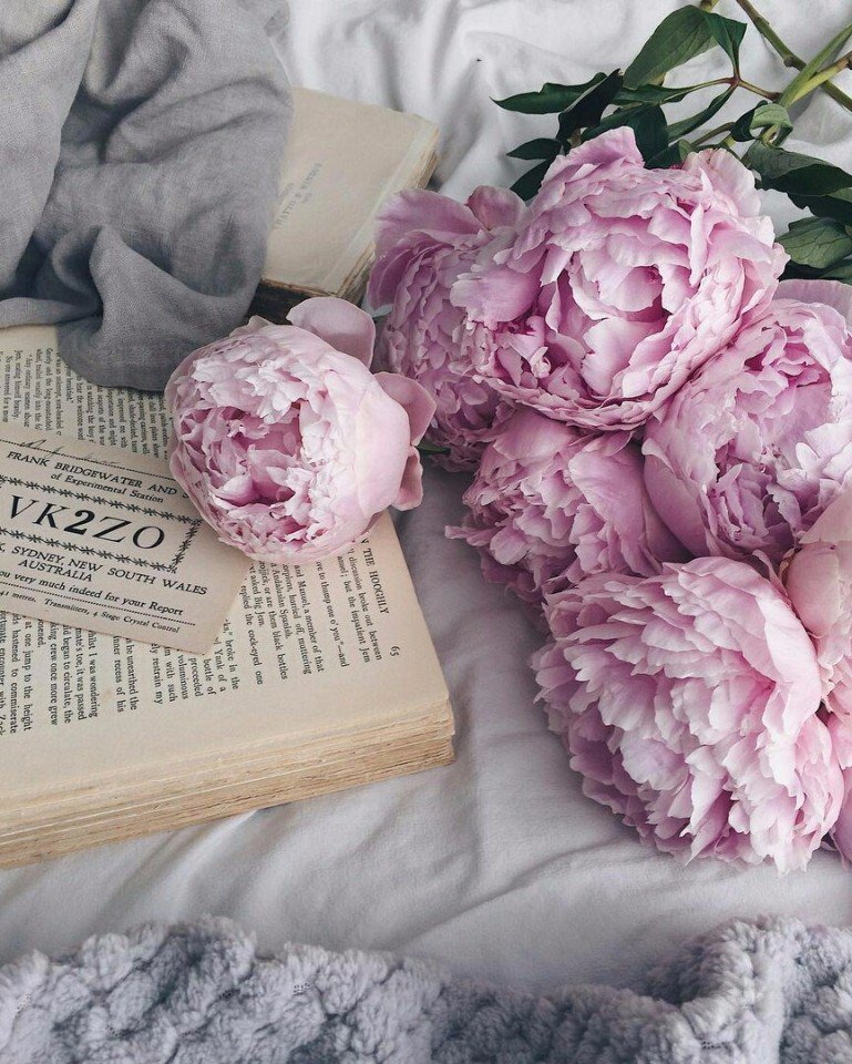 Живите так, чтобы в сердце была любовь, на душе - покой, а за спиной - крылья!... - 5