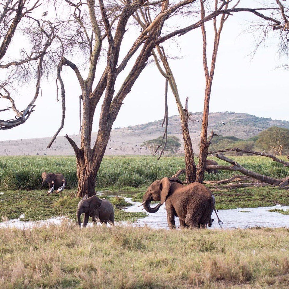 Неповторимая природа Африки - 8