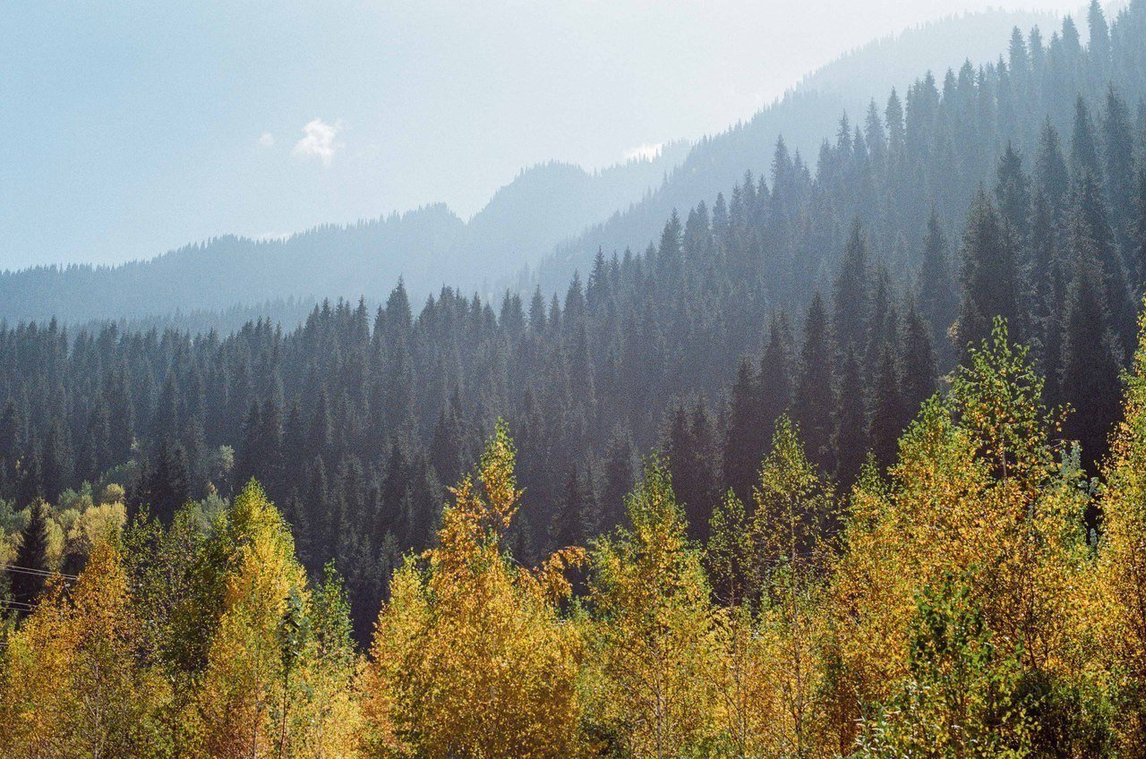 Кажется, что это изумрудное озеро и горы находятся в Канаде, но это - Казахстан! - 7