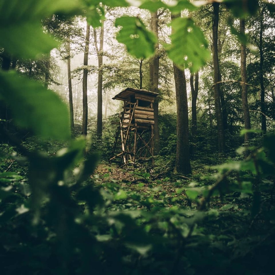 Рай интроверта в Саарланде, Германия - 6