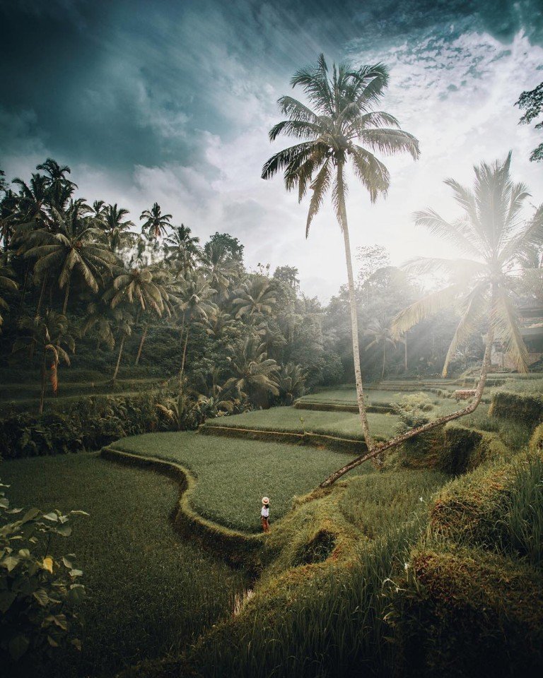 Мрія № 258: виїхати підкорювати простори Індонезії - 5