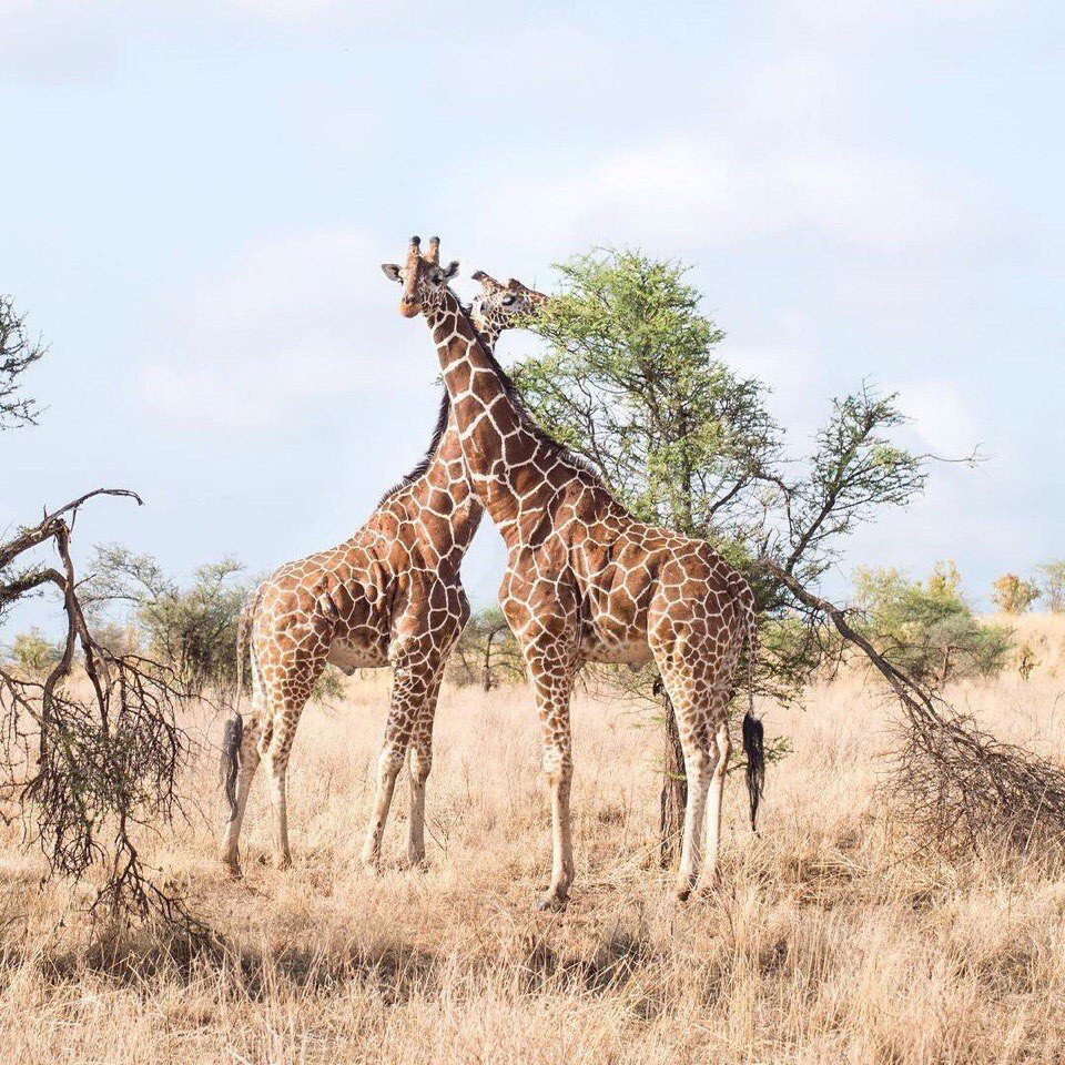 Неповторимая природа Африки - 7