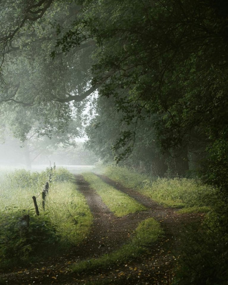 Кожному під силу знайти свою дорогу. Побільше мрійте і слухайте своє серце. - 5