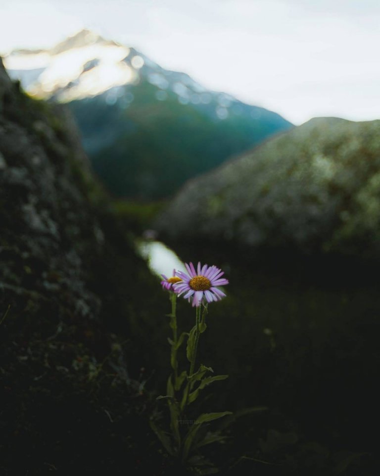 Аляска просто створена для інтровертів - 5