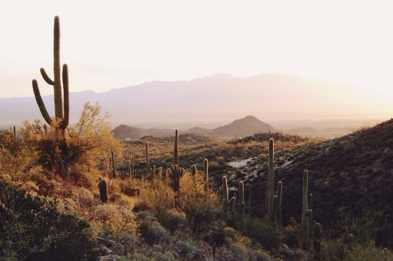 Потрясающие атмосферные фото американского запада - 6