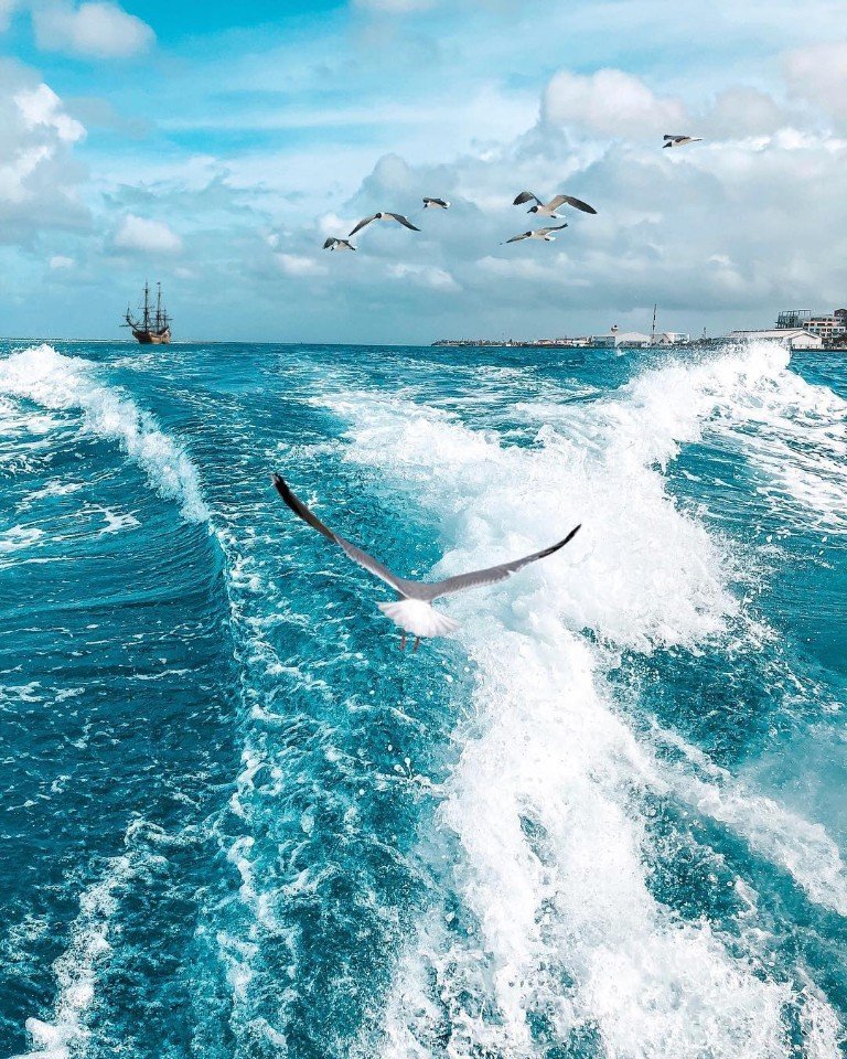 Если вы украдете меня и отвезете на пляж, я обещаю не сопротивляться!  - 5