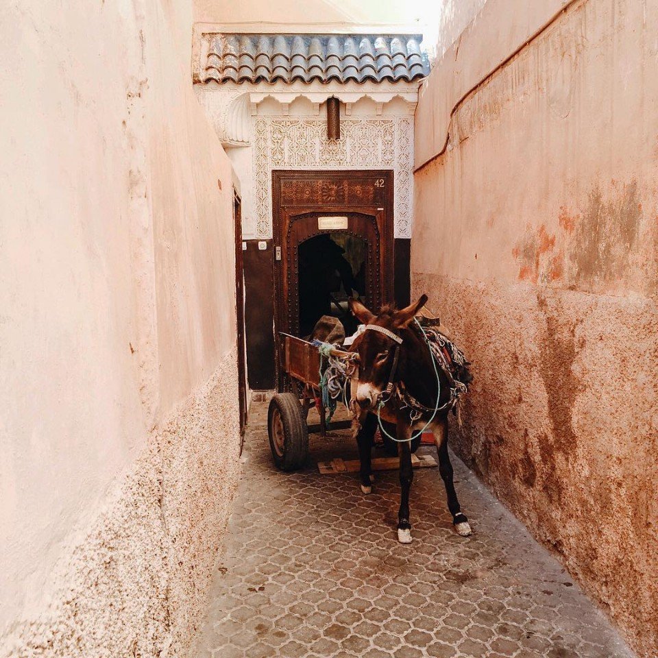 Mysterious and mysterious Morocco - 6