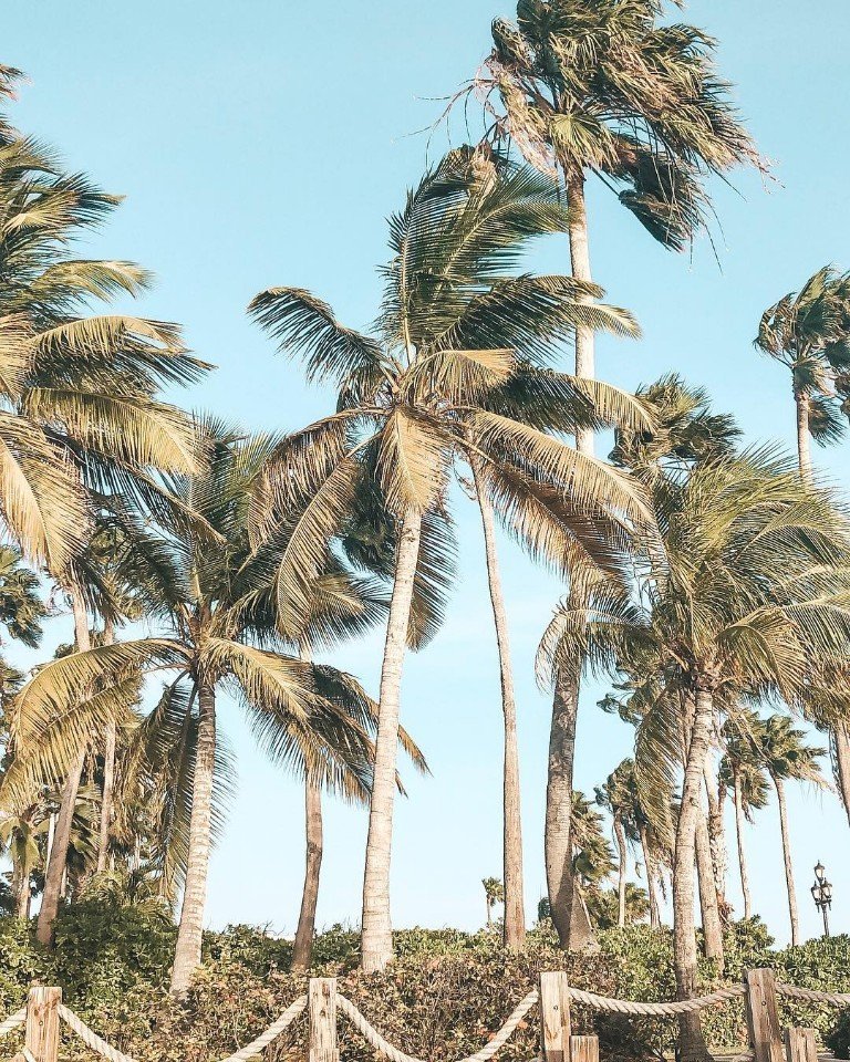 Если вы украдете меня и отвезете на пляж, я обещаю не сопротивляться!  - 6