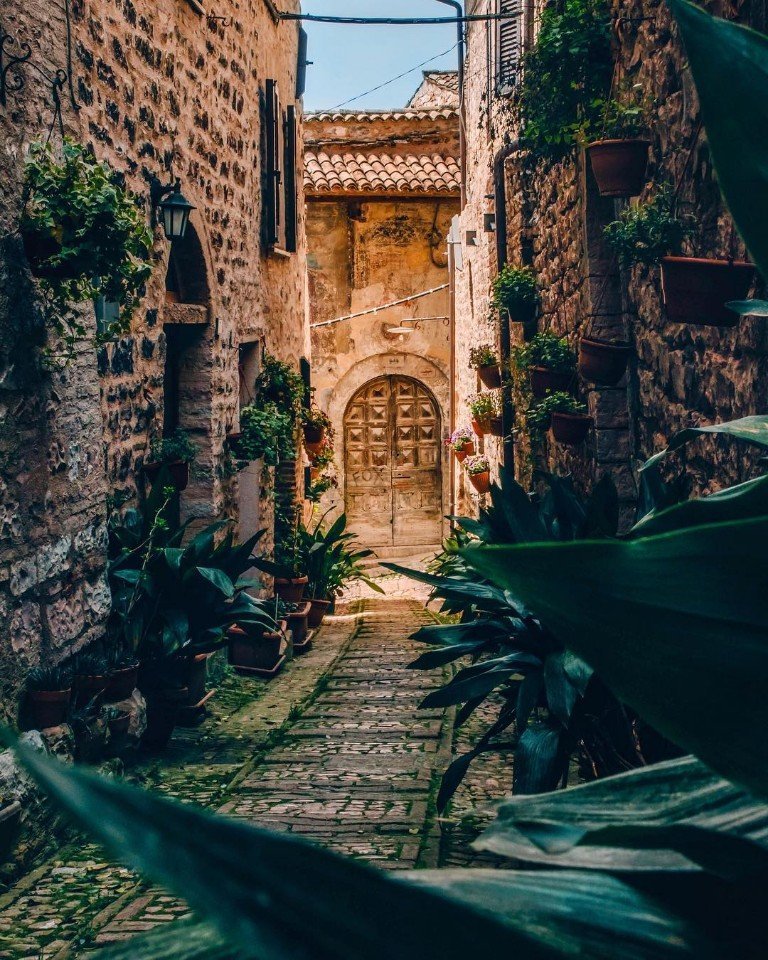 Сейчас бы бросить всё и махнуть в Италию за макарошками и вином, а не вот это вот всё... - 5