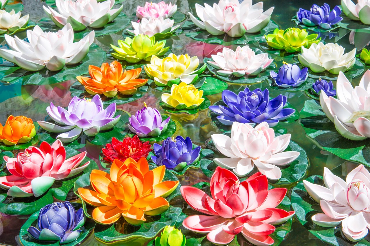 Кругосветка с Алексеем Виндом. День 60. 
Магический Тибет.
Одна мистическая история случившаяся со мной во время первого дня коры вокруг Кайласа. Когда я приехал, то сказал гиду что хочу себе взять камень с Кайласа. Он сказал что так делать нельзя и  - 5