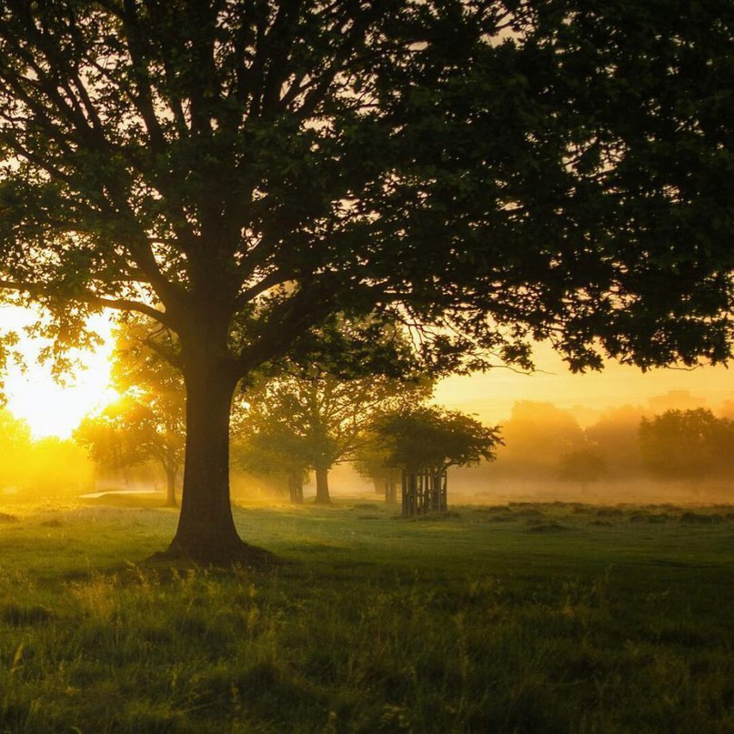 Не откладывайте счастье на завтра. Спешите жить, видеть, чувствовать, радоваться сегодня, сейчас, в эту минуту. - 5