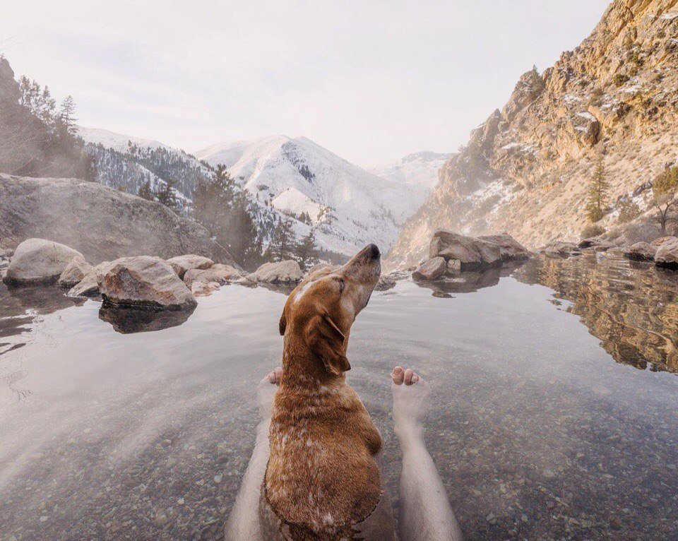 Пес Мэдди - самый счастливый собакен в мире, потому что путешествует вместе с хозяином по миру - 6