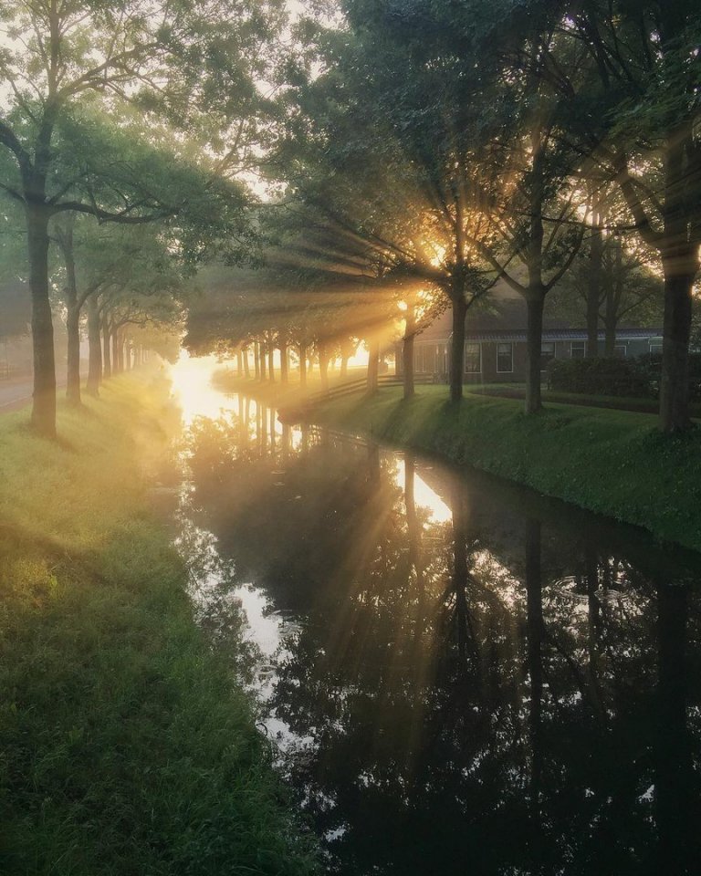 Солнечная Голландия 