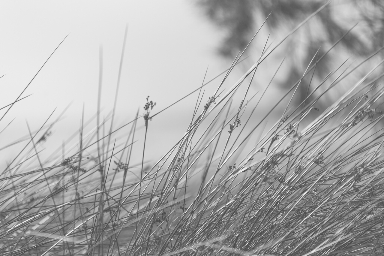 Потому мы радуемся, попадая в природу, что тут мы приходим в себя... Photograph Jordan Gardner ( Australia )