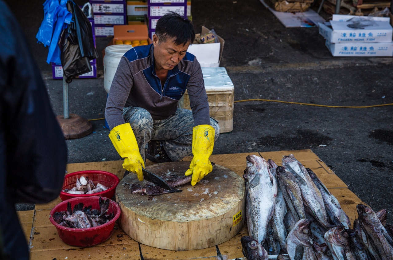 Кругосветка с Алексеем Виндом. День 83. Сеул, Южная Корея.
Отправляться в Южную Корею я особо не планировал, но так как оказался совсем рядом то решил посетить и это страну.
Сеул оказался вполне привлекательным городом. Одной из его главных достоприм - 7