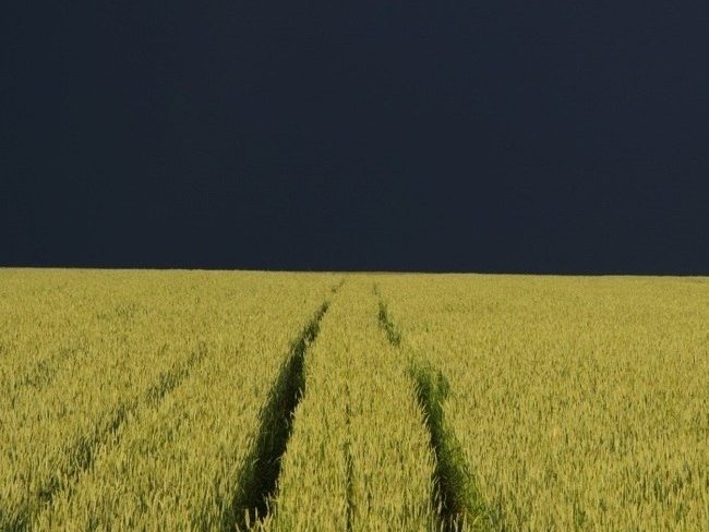 Быть грозе... - 7