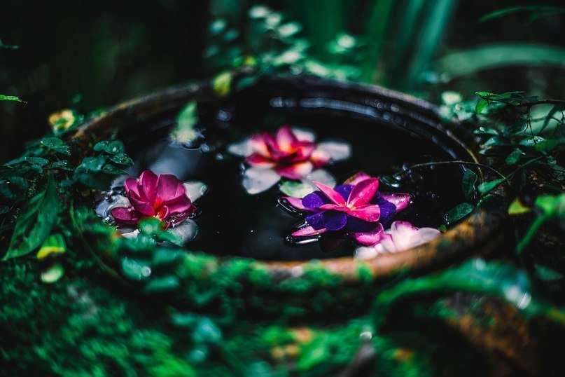 Живописный Таиланд - 5