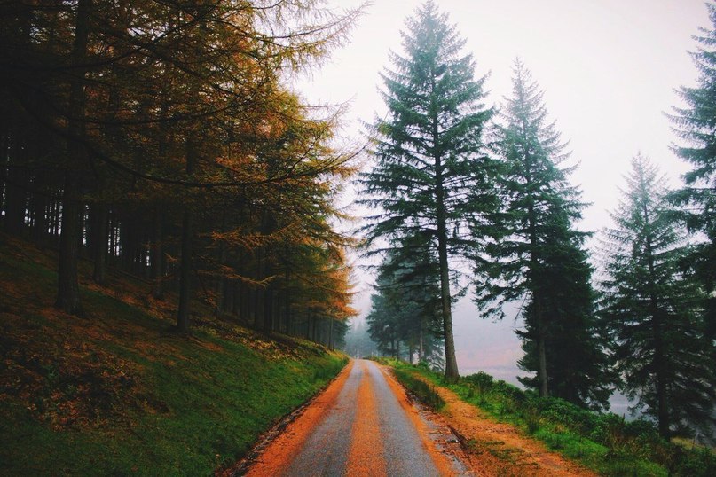 Запах осени неповторим...