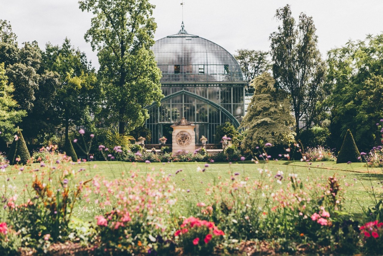 Париж - это всегда отличная идея!  - 5