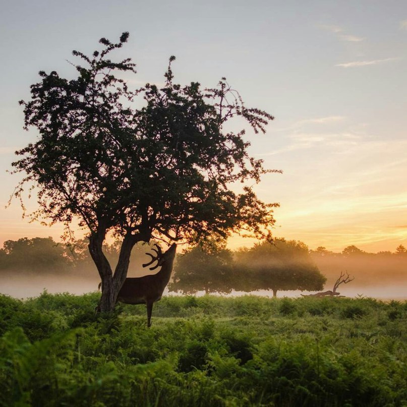 Не откладывайте счастье на завтра. Спешите жить, видеть, чувствовать, радоваться сегодня, сейчас, в эту минуту. - 8