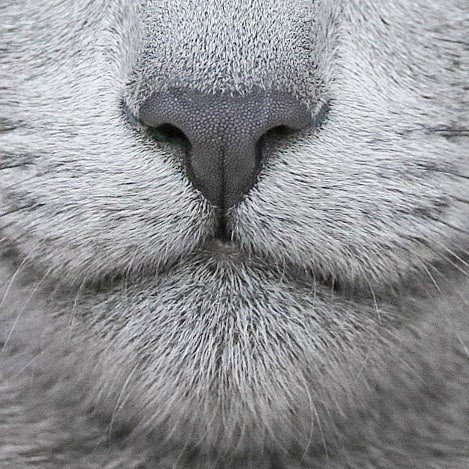 Пора создать закон, по которому нельзя быть такой лапочкой - 7