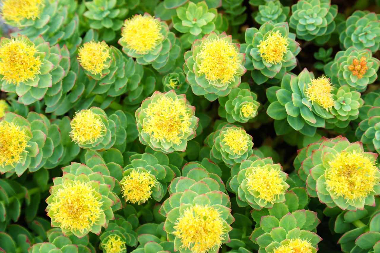 ПВД к Губе Опасова. Териберка. - 8