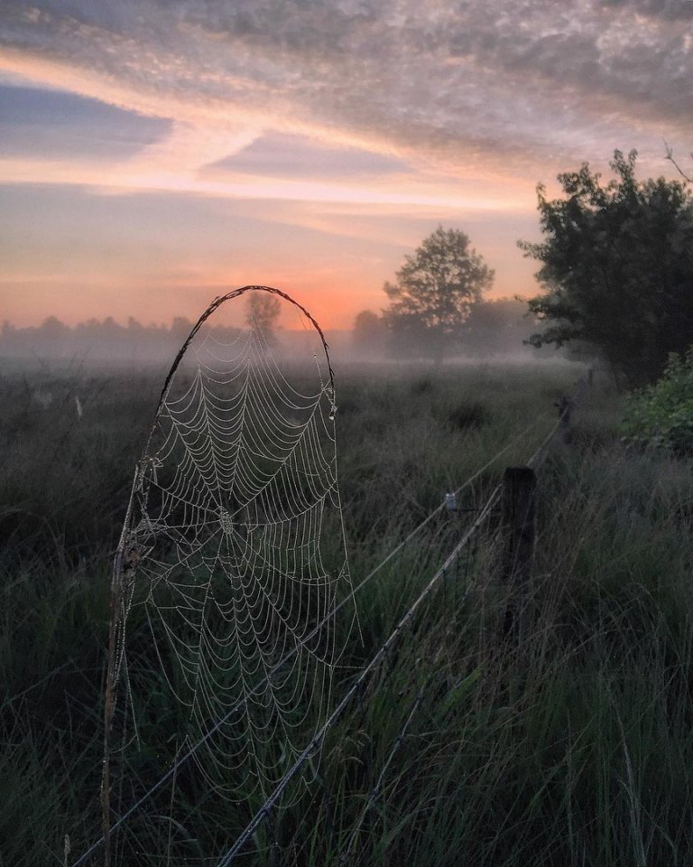 Солнечная Голландия  - 5