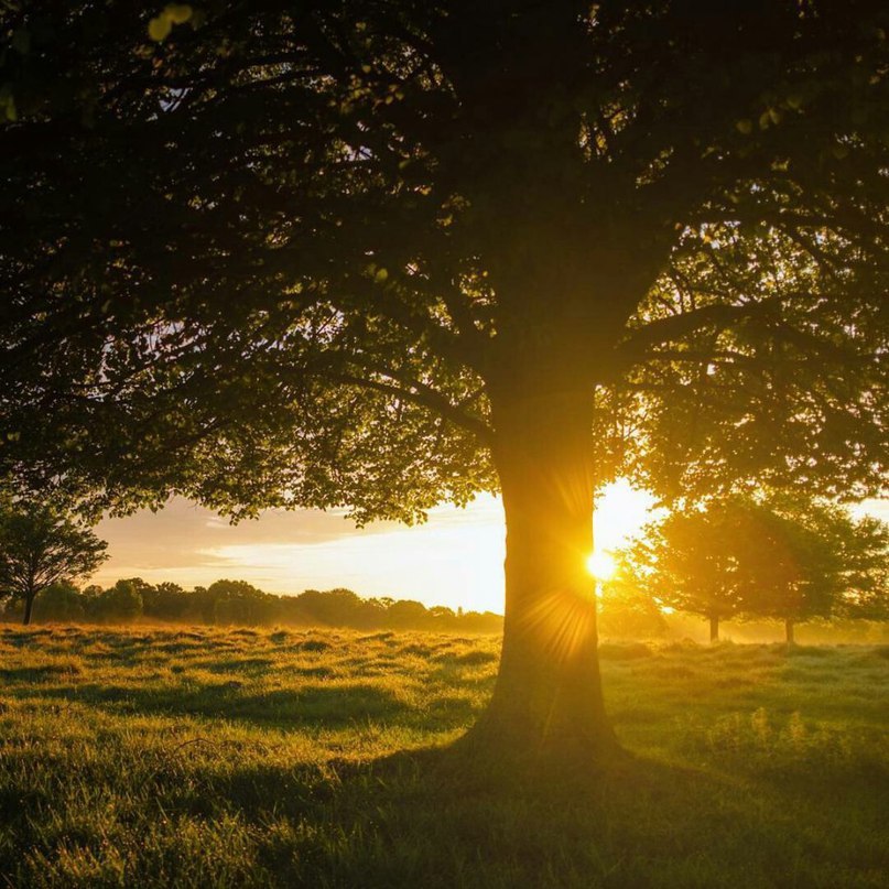 Не откладывайте счастье на завтра. Спешите жить, видеть, чувствовать, радоваться сегодня, сейчас, в эту минуту. - 6