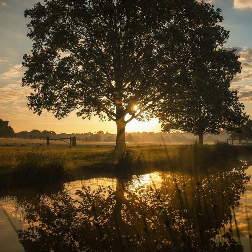 Не откладывайте счастье на завтра. Спешите жить, видеть, чувствовать, радоваться сегодня, сейчас, в эту минуту. - 7