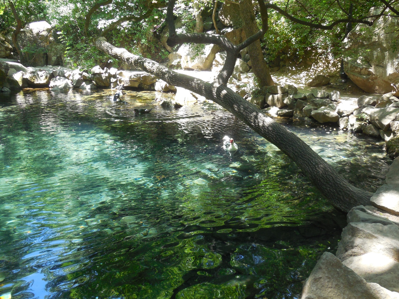 Ялта - это узкие европейские улочки, французские мелодии, это цветники в переулках. Ялта - это живая музыка, девочка-трубач и мальчик-фокусник. Ялта - это смеющиеся парочки, танцующие босиком под луной. Ялта - это невероятный вид с горы Ай-Петри. Ялт - 5