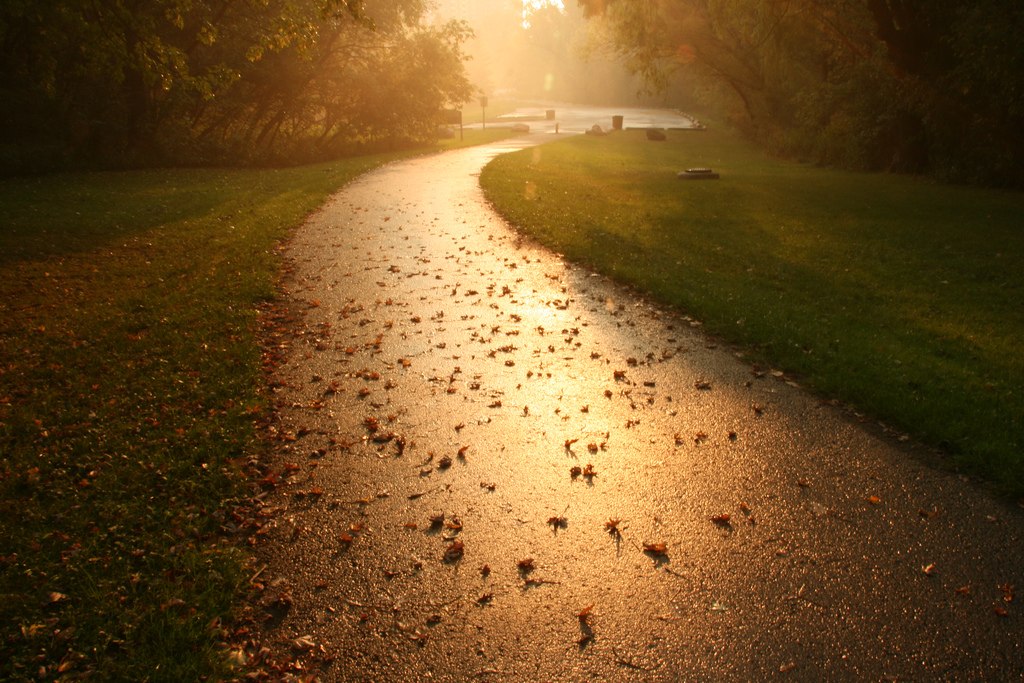 Oceнниe пeйзaжи