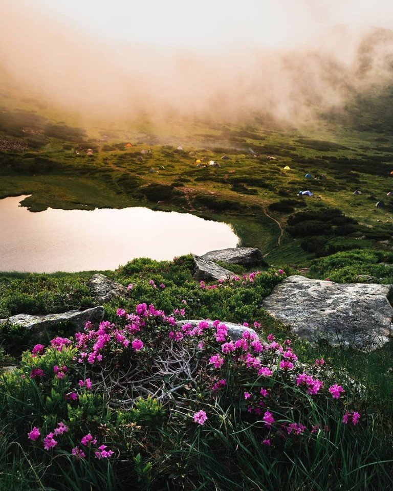 Немного карпатской эстетики - 7