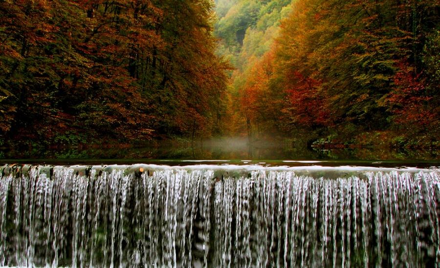 Oceнниe пeйзaжи - 5