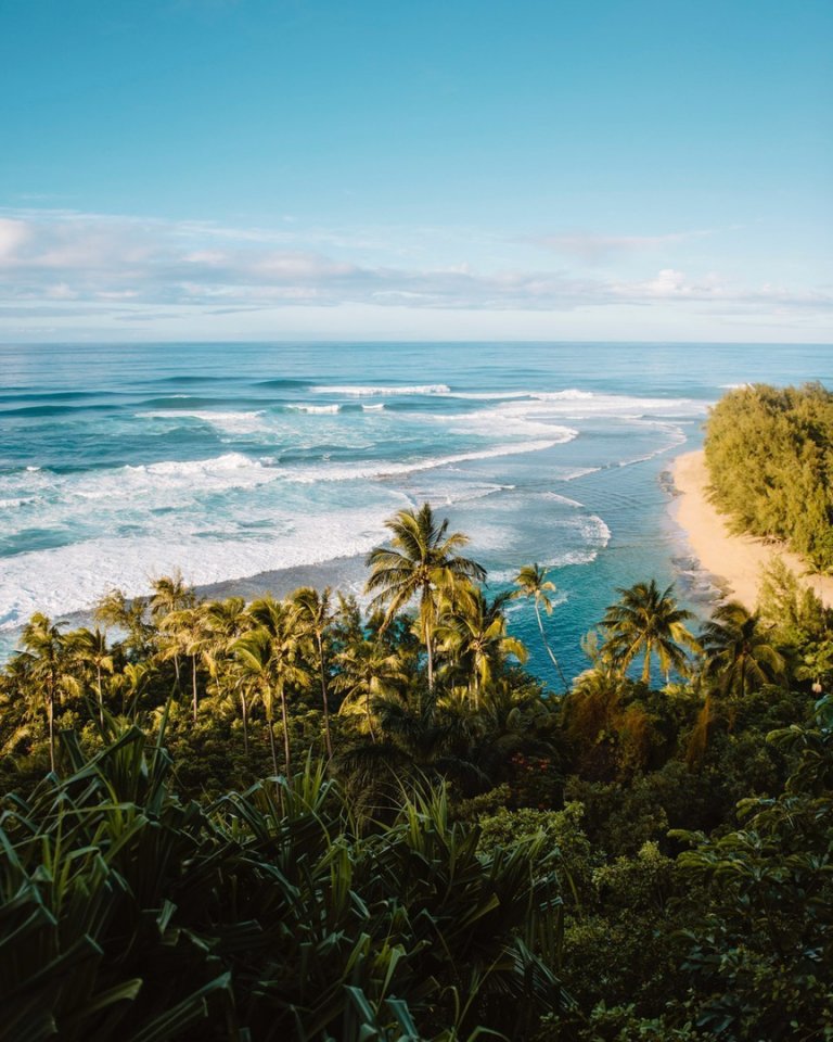Там не хватает только меня! Солнечные Гаваи  - 5