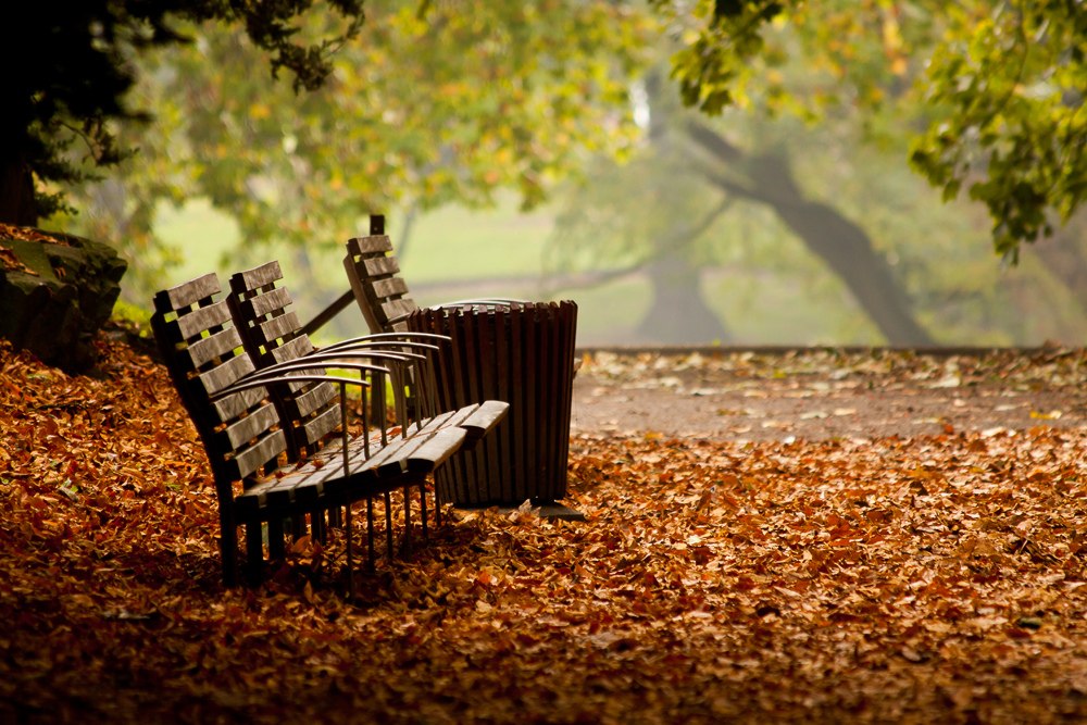 Oceнниe пeйзaжи - 7