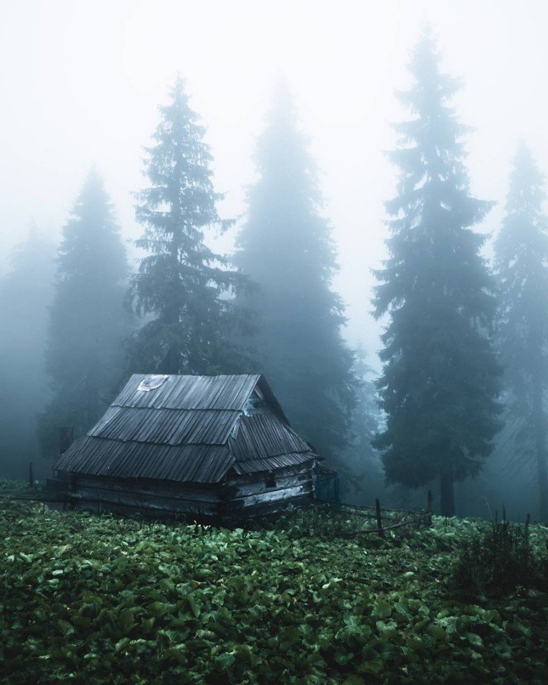 Немного карпатской эстетики - 9