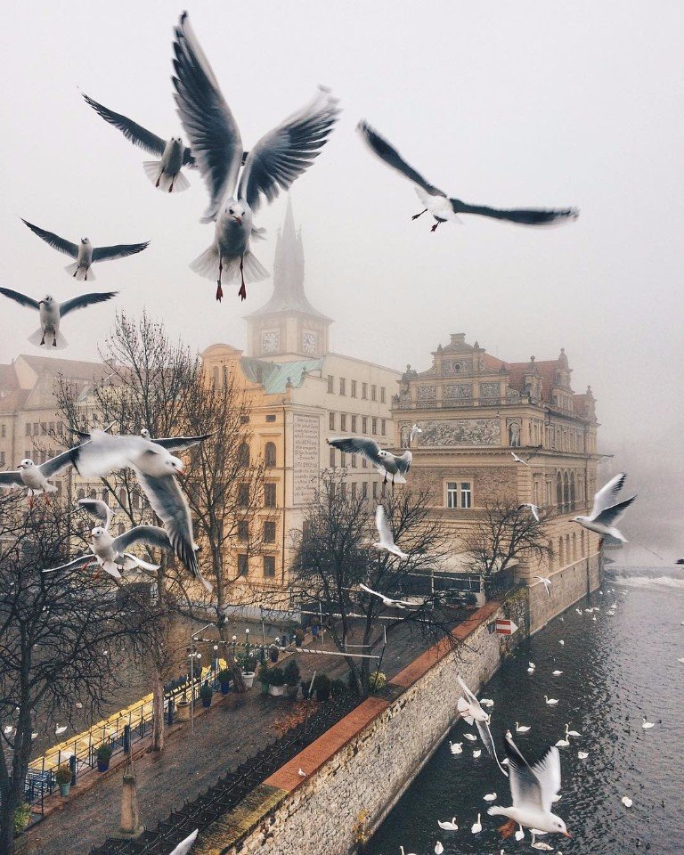 Ecли и любить oceнь, тo нужнo дeлaть этo в Прaгe - 6