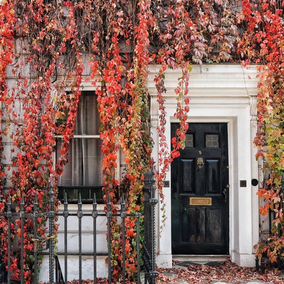 Сказочный Лондон - 6