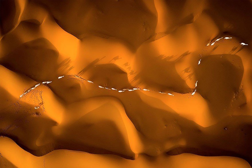 The best photos from the competition Siena International Photo Awards - 7