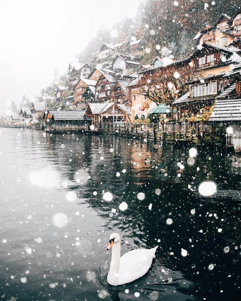 Уехать бы и погрузиться в красоту Австрии - 5