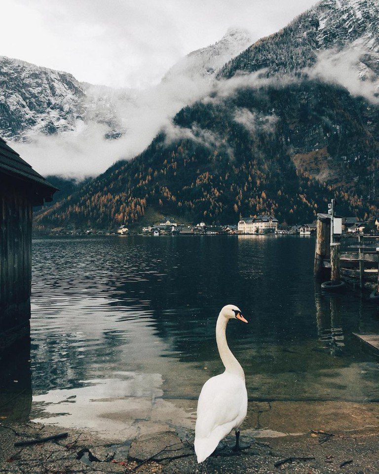 Уехать бы и погрузиться в красоту Австрии - 7