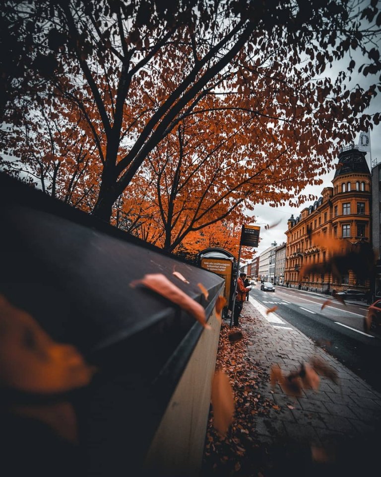 Осень в шведской Уппсале