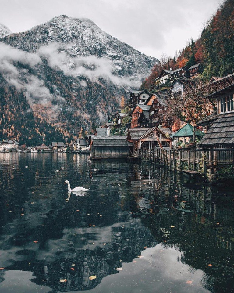 Austria is my love - 5