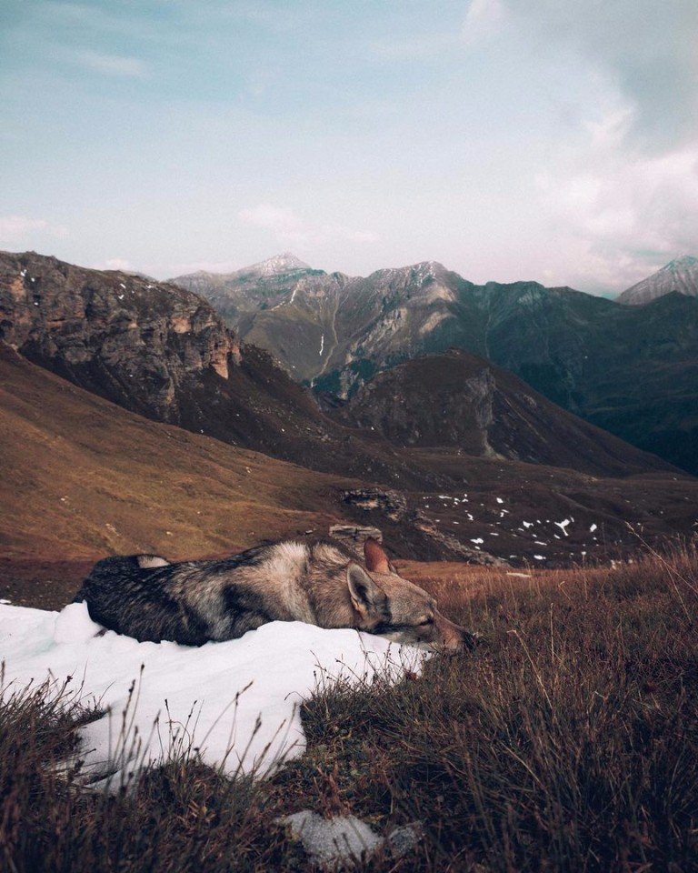 Неприборкана краса Чехії - 5
