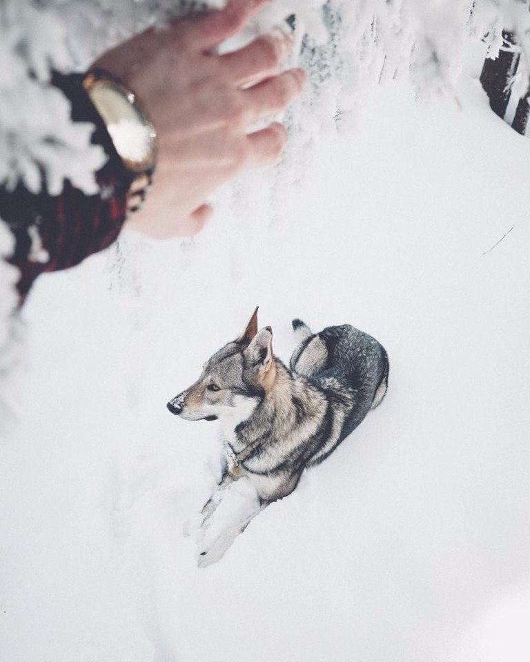 Неприборкана краса Чехії - 7