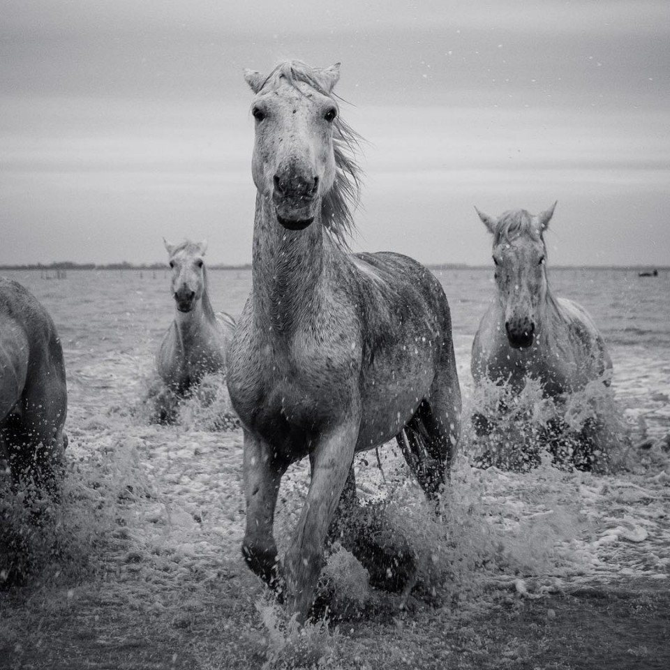 Финалисты конкурса Photobox Instagram Photography Awards 2018 - 6