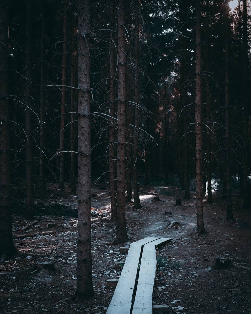 Гармония чистой природы Финляндии - 5